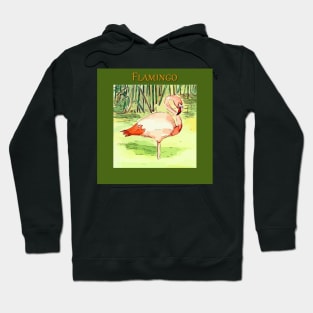 Flamingo Hoodie